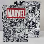 پک پوستر مارول